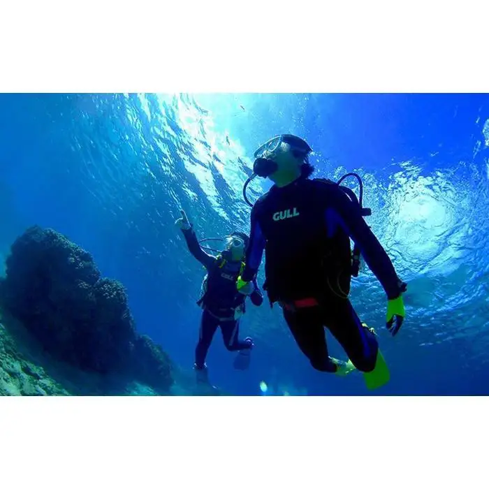 サンゴと生き物の楽園！魅力いっぱい恩納村ファンダイビング（2DIVE）2名様 