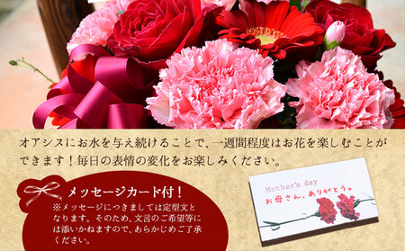 母の日 花 ギフト 母の日 フラワーアレンジメント (ミックス)  【北海道・沖縄・その他離島 配送不可】《2027年5月上旬-5月末頃出荷》椿原園