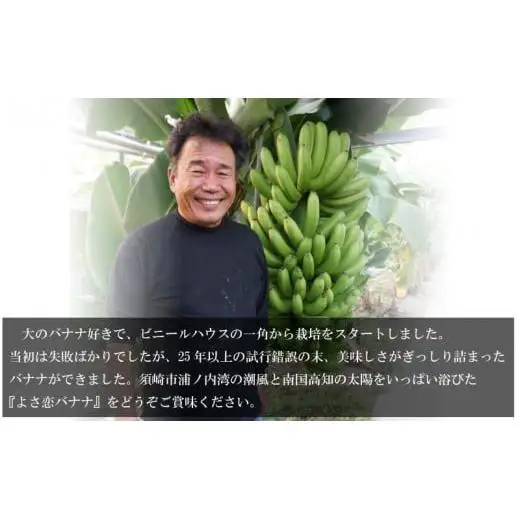 冷凍バナナ 1.5kg以上 約800g×2 国産 高知県産