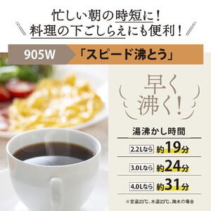 象印 VE電気まほうびん 「 優湯生 」 CVGD30-BM ソフトブラック