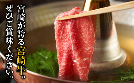 宮崎牛肩ローススライス300g×2 宮崎県産黒毛和牛こま切れ100g×2 合計800g 宮崎牛 肩ロース 黒毛和牛