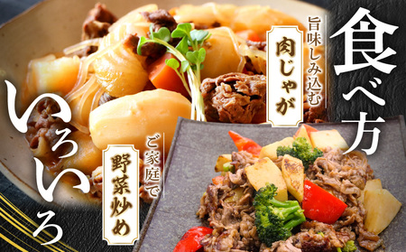 宮崎牛モモスライス400g×2 宮崎県産黒毛和牛こま切れ100g×2 宮崎牛 モモ こま切れ 