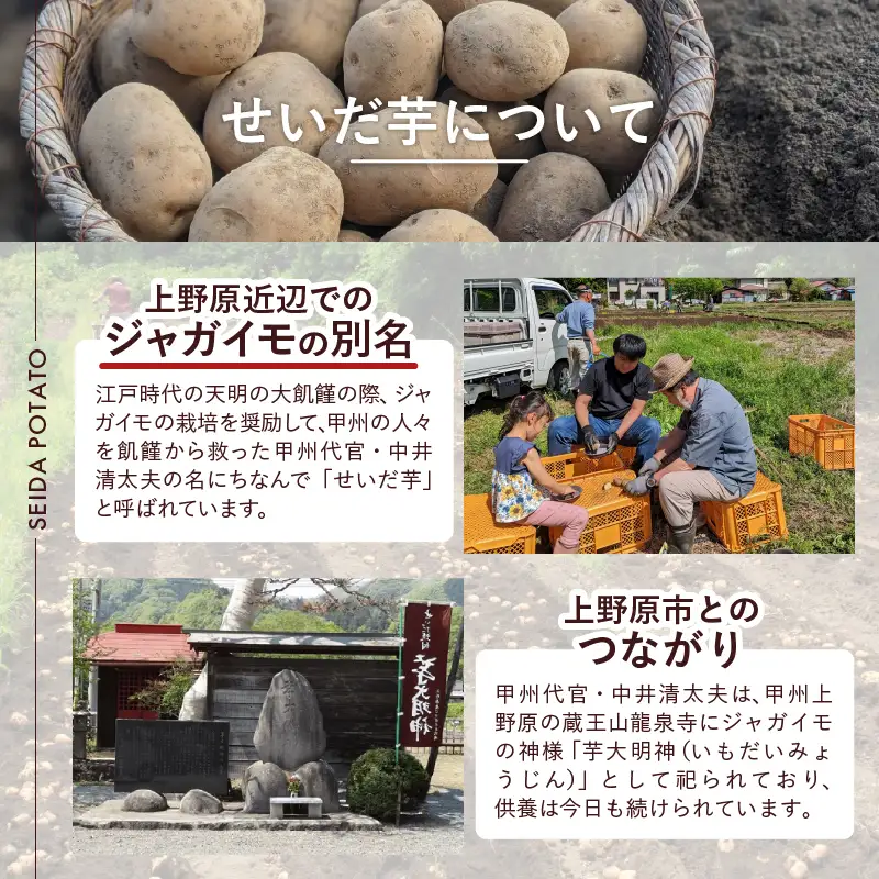 【好評につき完売】山梨県上野原産 『せいだ芋のポテトフライ』4味セット ギフト 4種