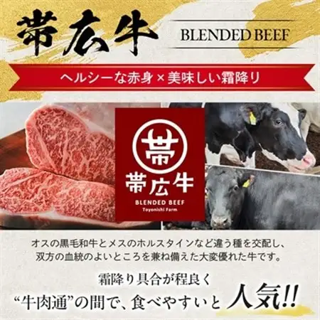 帯広牛 ヒレ ステーキ 120g×3枚 計360g セット_肉 ステーキ 牛肉 ビーフステーキ_【配送不可地域：離島】【1310165】