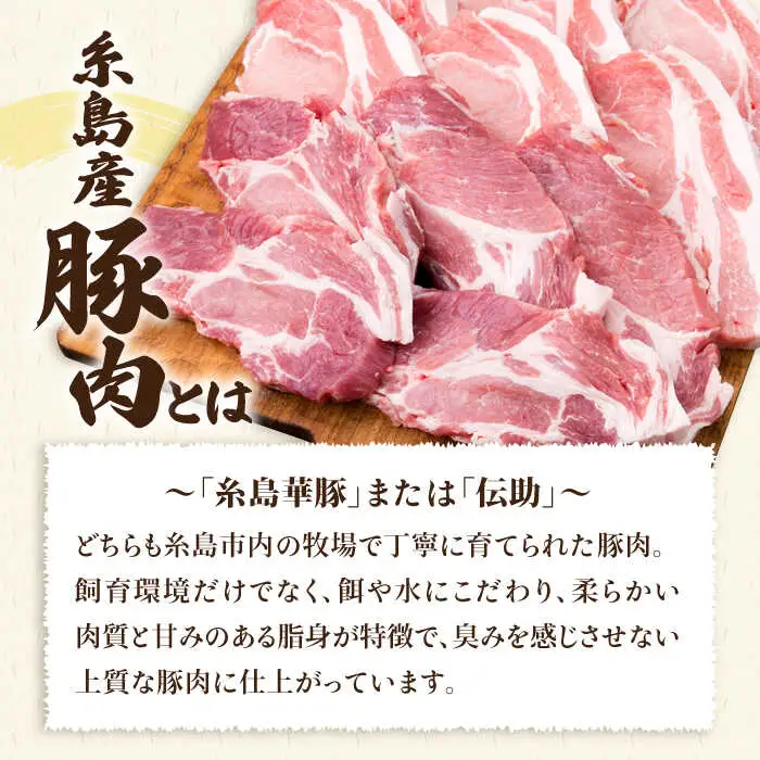 【全3回定期便】糸島豚ロース肉6枚 肩ロースカツ5枚 合計11枚セット 糸島市/糸島ミートデリ工房[ACA229]