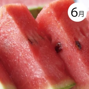 【４か月定期便】和歌山産そだちの野菜とフルーツ定期便♪（八朔・トマト・すいか・桃）【tkb135】