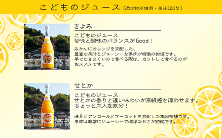 ジュエリーボックス（ジュース編）厳選10本 数量限定 ATI0029