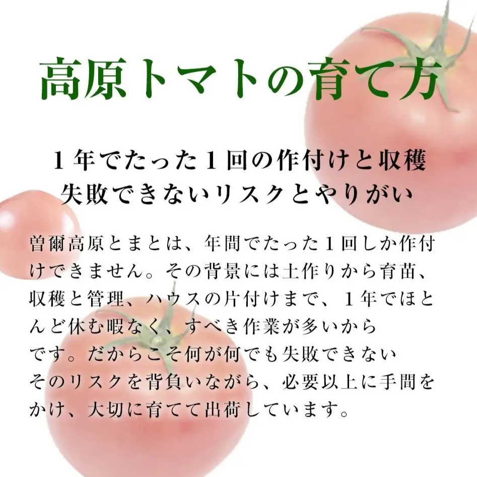 トマト トマト約2kg 夏野菜 / 曽爾村特産高原トマト約2kg※電話での調整後順次発送（北海道・沖縄県への送付不可）