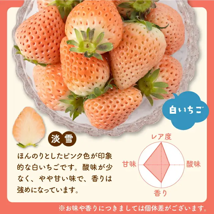 【先行予約】【3回定期便】いちごとスイートコーンの定期便 いちご とうもろこし [IZZ016]