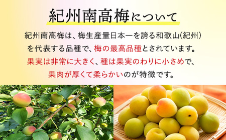 【贈答用】紀州南高梅　こんぶ風味梅干　400g　化粧箱入 | ギフト プレゼント 国産 ※北海道・沖縄・離島への配送不可