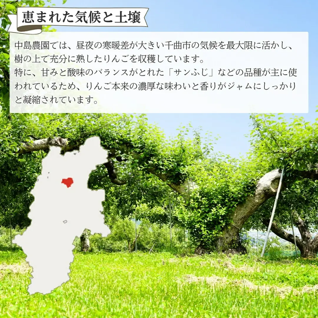 りんごジャム(サンふじ) 3個入り [中島農園] |りんごジャム