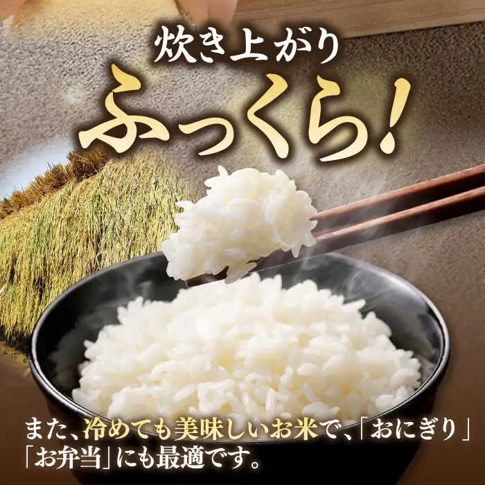 【R7年度産】壱岐産米 こしひかり 10kg [JCZ019] 米
