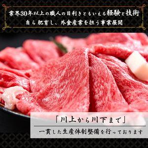 【30営業日以内配送】国産牛 牛丼の具&煮込みハンバーグ 満足の9個セット 《こだわりソースと玉ねぎが旨い簡単惣菜》 湯煎で温めるだけ　014-D-YL008