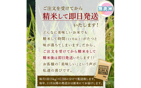 令和7年産 【定期便】《無洗米》さがびより 5kg×12回 999-B1061