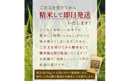 【定期便】さがびより【白米】５kg×６回 B700