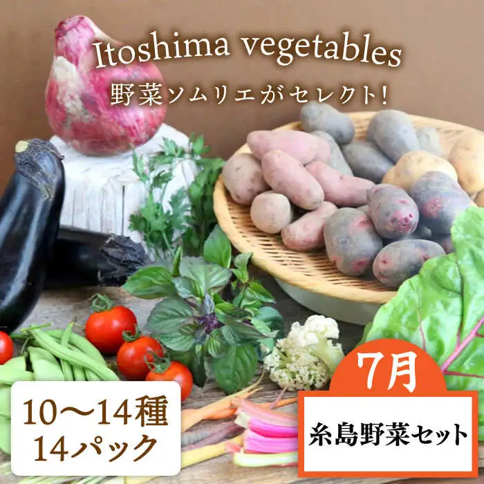 【全12回定期便】糸島ガッツリお楽しみ定期便（水炊き / しゃぶしゃぶ / チーズ / 卵 / ヨーグルト / ウインナー / 野菜 / お茶漬け / 明太子 / スイーツ / 牛肉 / 豚肉 ） 《糸島》 [AAH002] ランキング 上位 人気 おすすめ 定期便 毎月 お楽しみ