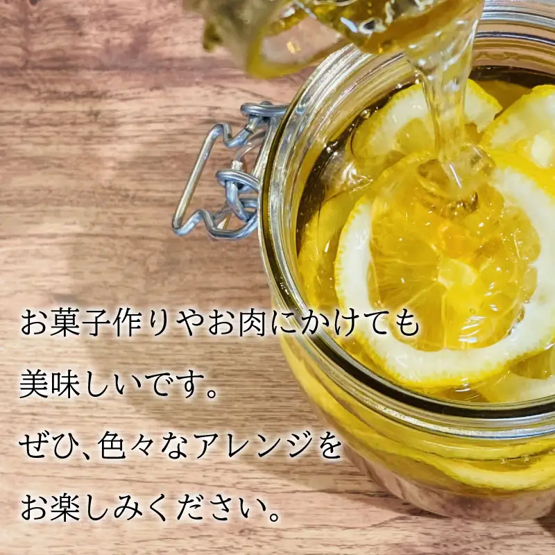 はちみつ 180g (90g×2個) 国産 百花蜜 はちみつ ES