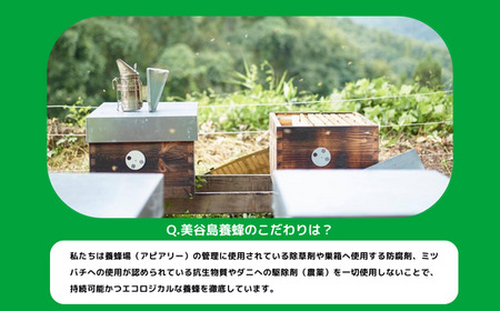 完熟 生はちみつ ( 林檎の花 ) 1瓶 100g 美谷島養蜂 沖縄県への配送不可 信州 蜂蜜 ハチミツ はちみつ ハニー りんご 花 加工食品 国産 ご当地 長野 7500円 農家直送 長野県 飯綱町 [1398]