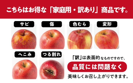 りんご サンふじ 訳あり 10kg 渡辺農園 2026年12月上旬頃から2027年1月中旬頃まで順次発送予定 令和8年度収穫分 エコファーマー認定 減農薬栽培 長野県 飯綱町 [1251]