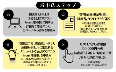 ふるさとＥＣＯプラン from 飛騨市　水と森ゆたかな岐阜県飛騨市産のＣＯ2フリーの電気と飛騨市の特産品カタログ[GA500]