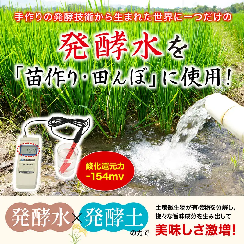 先行予約 ササニシキ 白米 9kg 令和8年 無農薬 新潟県産 ササニシキ