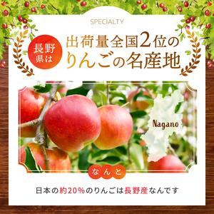 贈答用 紅玉 約 4.5kg 【2026年先行予約】 ｜ 外川果樹園 