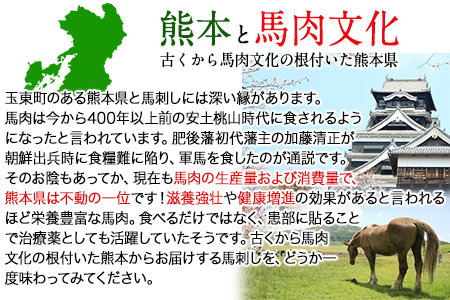 馬刺し3種の盛り合わせ 【特選霜降り馬刺し80g/ロース馬刺し80g/赤身馬刺し80g×2】+タレ100ml付き 《30日以内に出荷予定(土日祝除く)》 送料無料 st-p