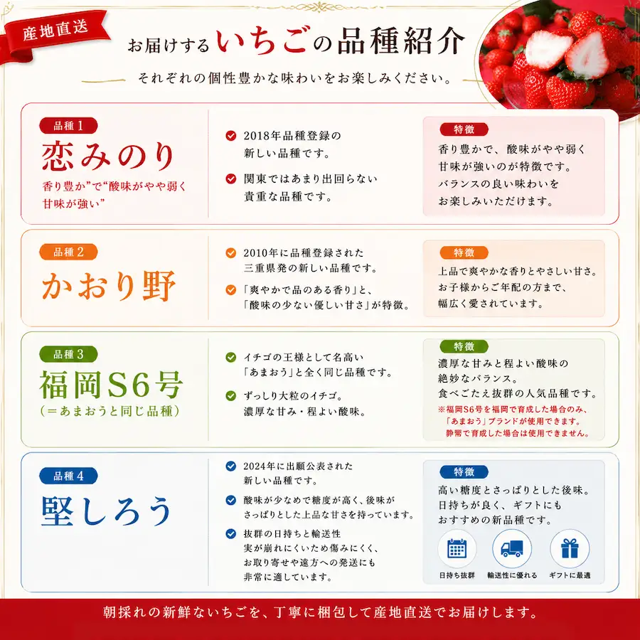 いちご【2027年発送】厳選 4パック×280g 完熟いちご