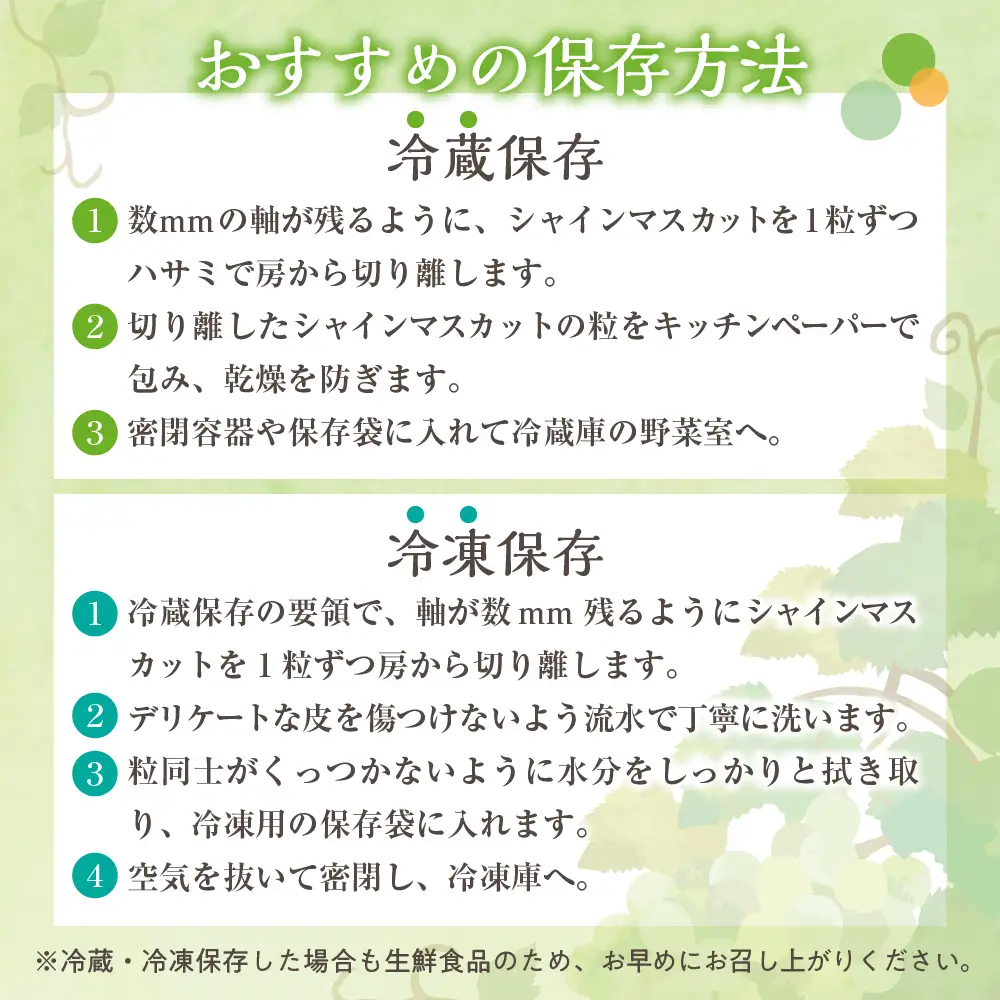 【2026年11月上旬発送】 【訳あり】 シャインマスカット 1.2kg 家庭用 青森