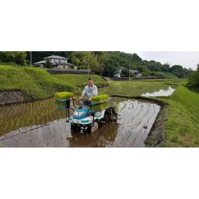 大分県産ひのひかり「ゆふ清流米」【5分つき】30kg