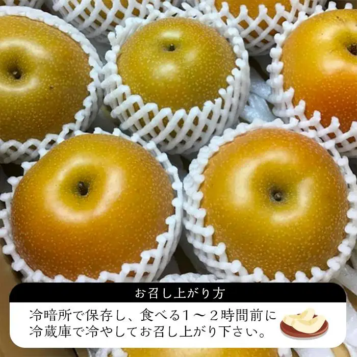 【2026年8月下旬以降より発送】旬の梨おまかせ約5kg・6-14玉（自家製有機肥料・減農薬・化学肥料無使用）