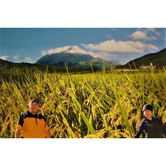 【玄米】湯布院の旅館の板場さんからも認められた美味しいお米（雄三の玄米）5kg