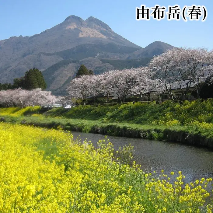 【湯布院、由布院、湯平、塚原高原】JTBふるさと旅行券（450,000円分）有効期間5年 | 予約 宿泊 観光 体験 温泉 ホテル 旅館 チケット 子供 子連れ カップル 家族 店頭 電話 由布市