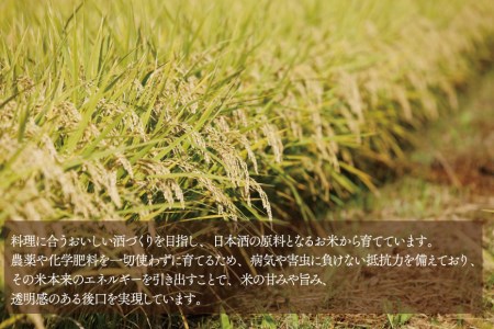 純米吟醸兵四郎２本セット
