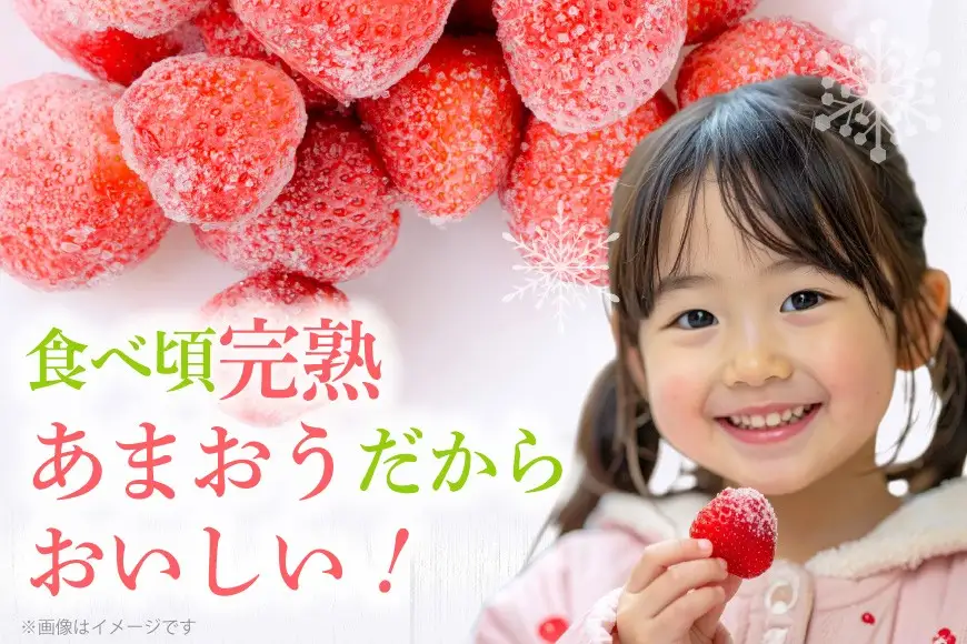 いちご 冷凍 完熟 あまおう 2kg いちご【2027年発送先行受付】