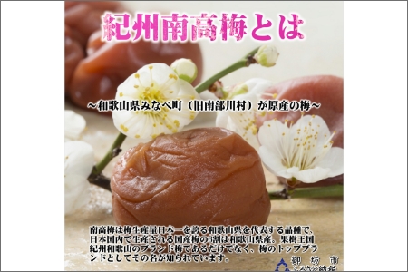 紀州産かりかり南高梅 90g×10個＝900g【0949-3】