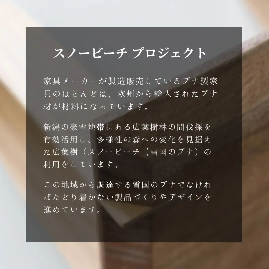 ブックスタンド 雪国のブナ ストーリオ | 本棚