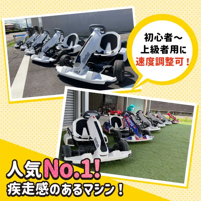 ゴーカート30分体験 吉野ヶ里/e-ビークルパーク GOカート 乗り物 のりもの レジャー アウトドア 遊び  [FCS001]