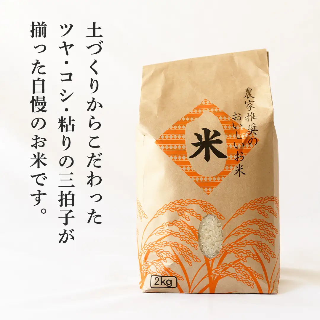 たまごかけご飯セット 卵 玉子 たまご 生卵 鶏卵 タマゴ しょうゆ 醤油 米 コシヒカリ 白米 精米 産地直送 平飼い お取り寄せ 詰め合わせ TKG 卵かけごはん 新生活 一人暮らし 桜川市産 茨城県産 [BT003sa]