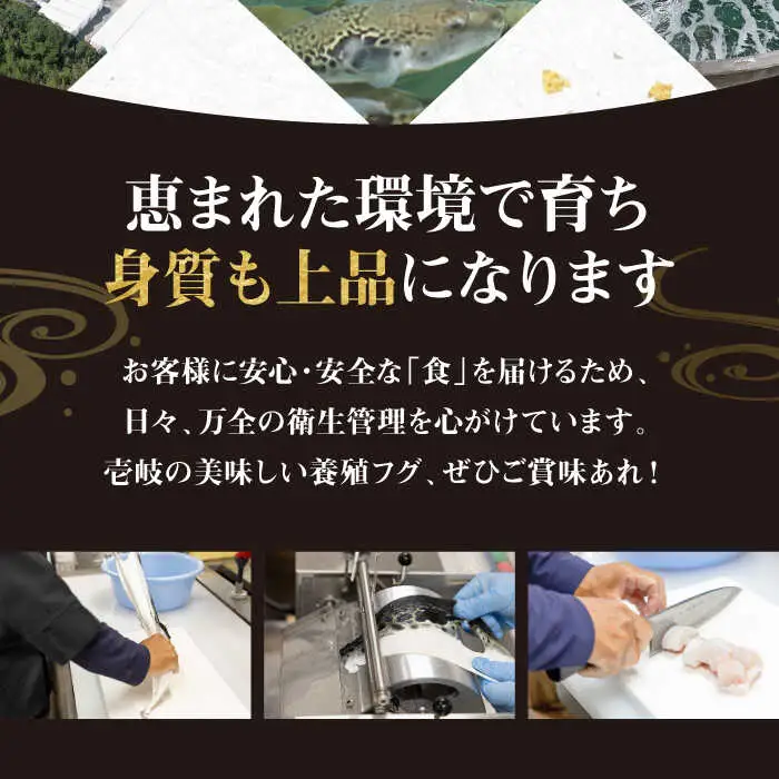 【全2回定期便】壱岐産 とらふぐ 刺身 2、3人前（皮・ヒレ付）[JDT065]