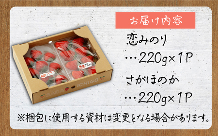 【先行予約 2027年1月～発送】食べ比べ！恋みのり＆さがほのか 各220g  いちご