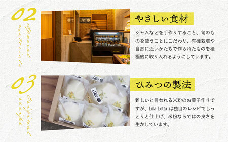 【全6回定期便】グルテンフリー レモンケーキ 9個[EBR007]  グルテンフリースイーツ スイーツ すいーつ 米粉 こめこ 焼菓子 詰め合わせ お菓子 レモンケーキ れもんけーき 長崎 冷凍 個包装 人気 ランダム おかし 定期便 定期 ていきびん