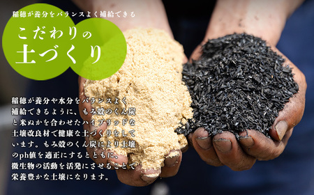 【先行受付】令和8年産新米 霧島湧水が育む「きりしまのゆめ」無洗米ヒノヒカリ6kg(2kg×3p) 減農薬栽培のお米 TF0304-P00026