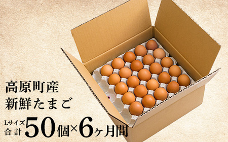 定期便《卵50個×6ヶ月間》産地直送たまご『きみの力(チカラ)』(年6回配送) Lサイズの大玉を6ヶ月間で合計300個お届け！ TF0448-P00035