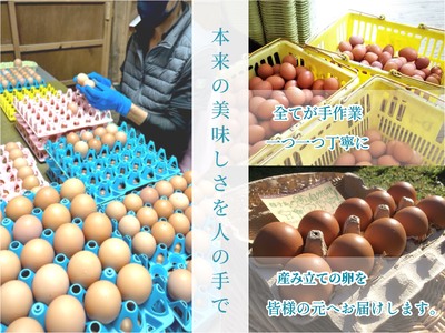 種子島 平飼い 産み立て たまご 夢まるガーデン 鶏卵 ×120個　NFN370【1000pt】
