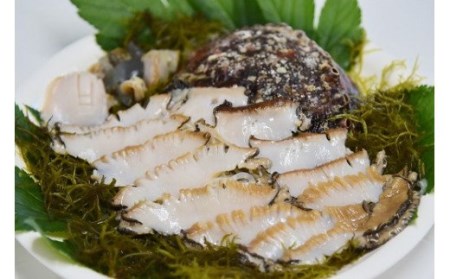 あわび・さざえセット[C]