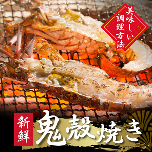 伊勢海老セット[E]　【 伊勢海老 いせえび 】