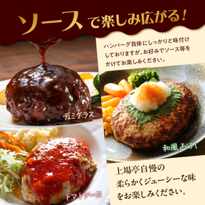 佐賀牛仕込みハンバーグ 8個 ／ 佐賀牛【A164】