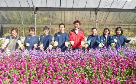【北海道・沖縄県・離島配送不可】高森高校生徒考案 阿蘇・高森からお届け 新鮮な花束【4回定期便】