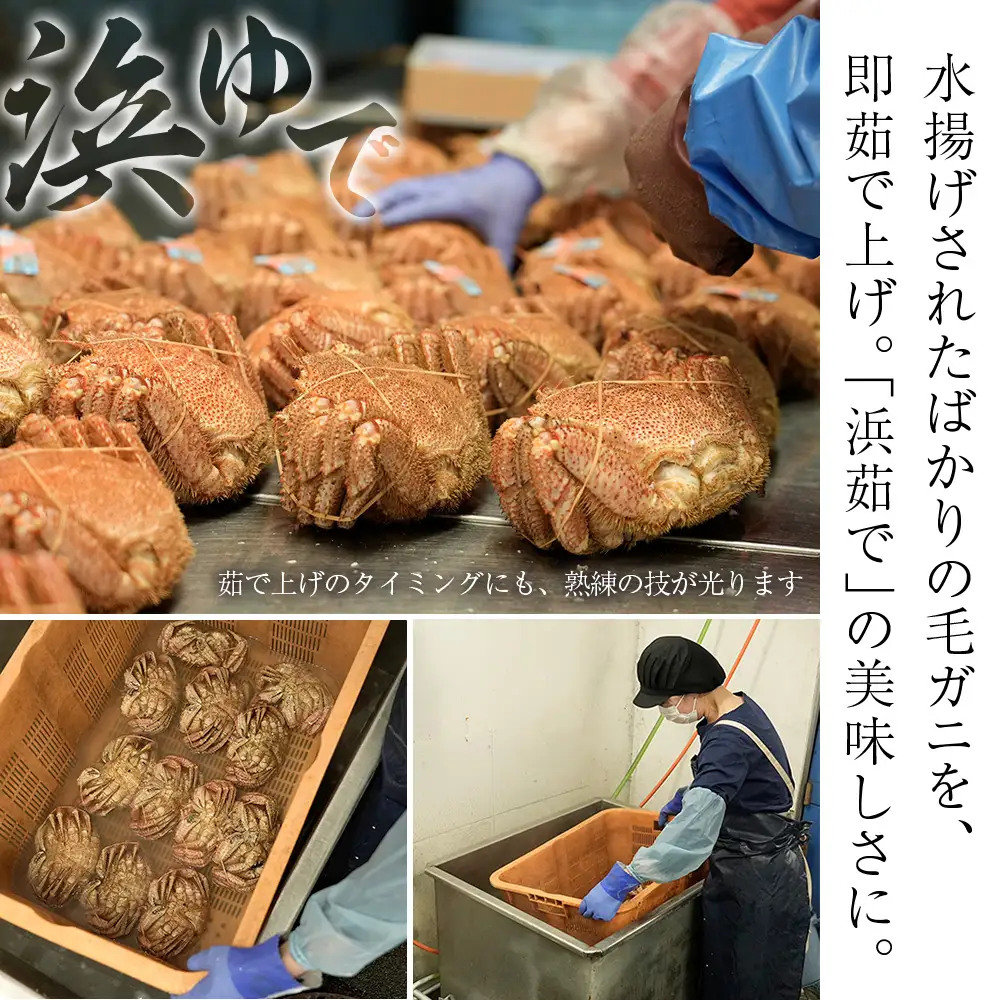 【中サイズ】北海道産 冷凍ボイル毛ガニ (540g-580g前後) 2尾 AS184